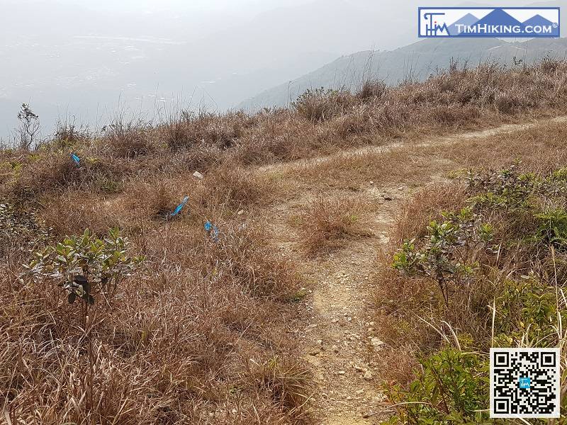 初級行山人士轉右原路折返，高階行山人士可嘗試左轉落山，難度極高。