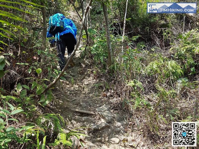 由於左路緩坡同行山友已經行過，所以是次選擇了右路險要路線，先易後難是行山法則，切勿一步登天。一開始便是45度的斜坡，必須落手攀爬。