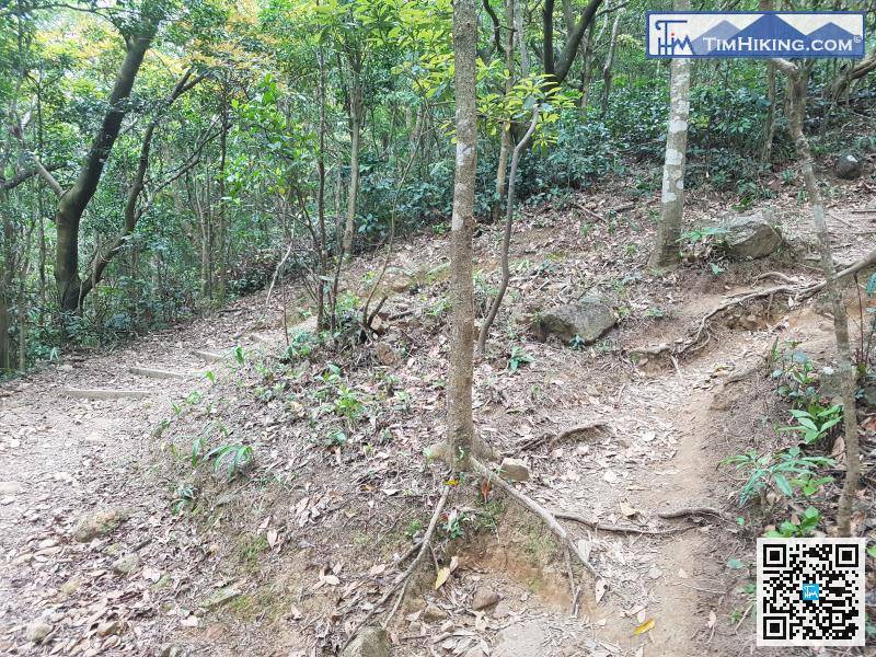 繼續沿山徑行