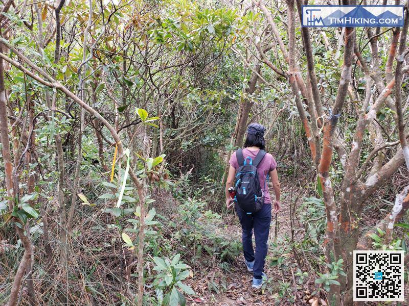 路口轉對了，十分鐘內便到金馬倫山山頂。