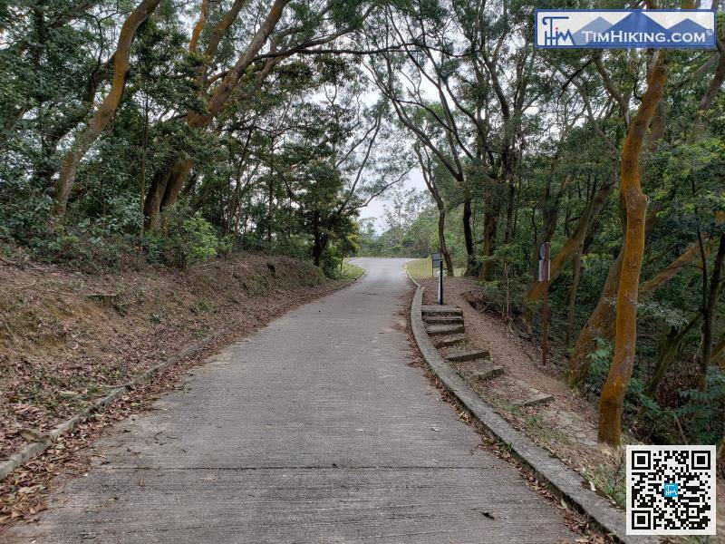 賞完鱷魚朝天的360度山景，原路折返，繼續沿麥理浩徑行。