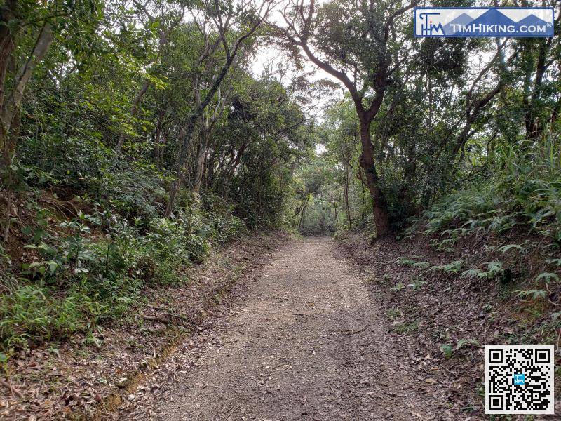 先跟住麻南笏的路牌前進，山徑非常之闊，也非常平坦。