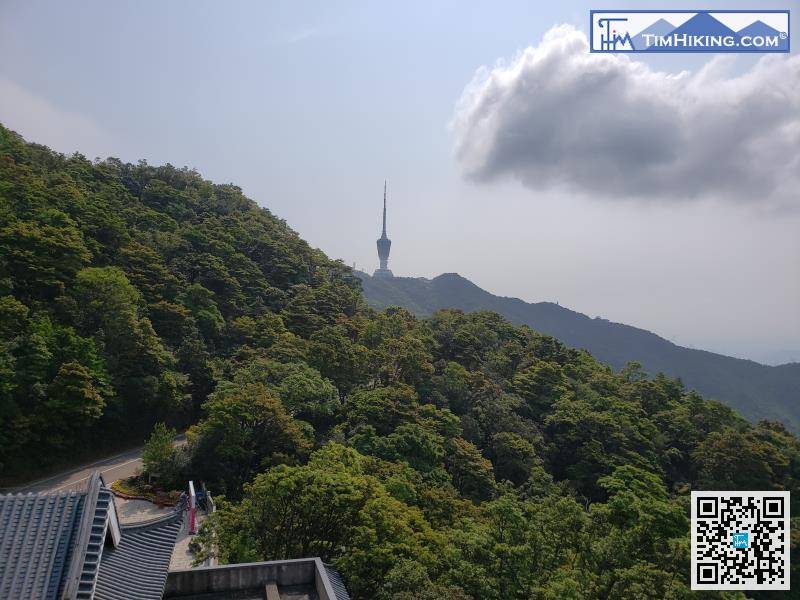 繼續朝住深圳電視塔的方向行