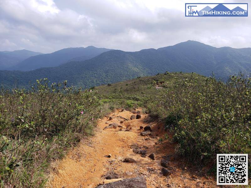 欣賞完美麗的風景，便開始下山。