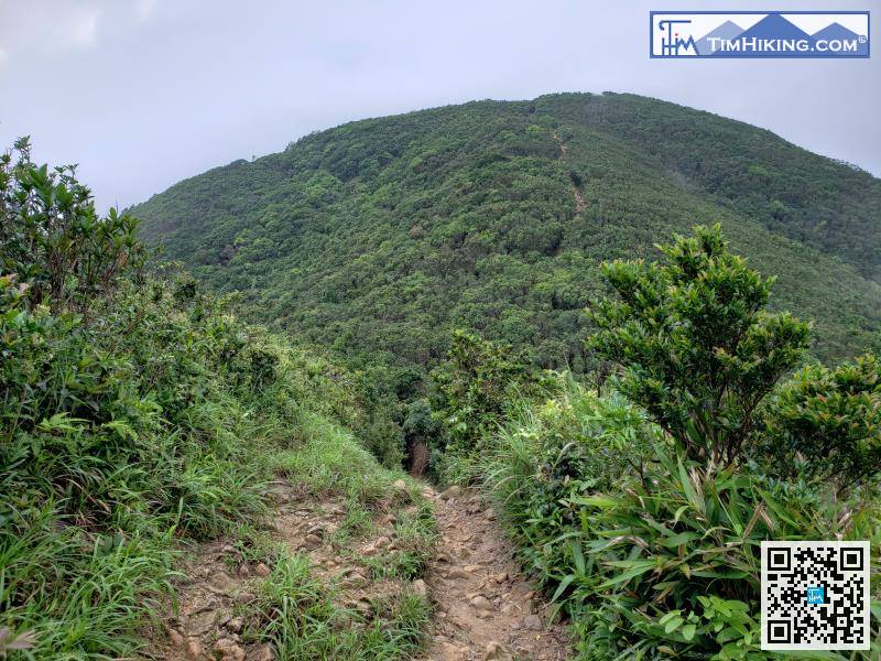 面前的山峰就是孖崗山副峰了