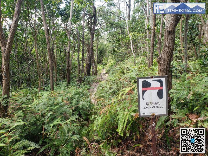 在入口的左邊有另一條山徑，寫着「路不通行」。