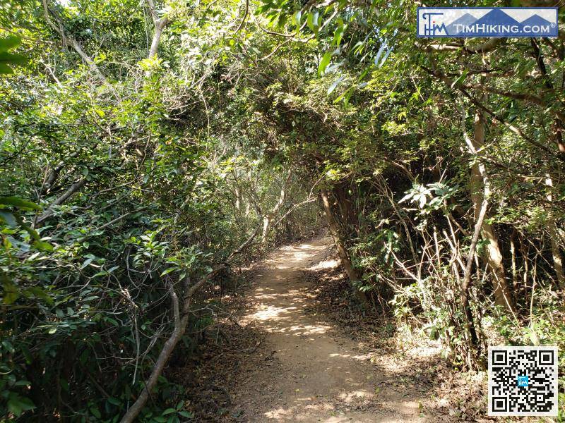 There is no bifurcation on the uphill road.