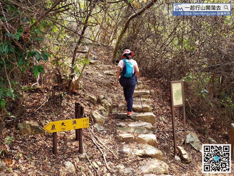 此路線頭段非常多梯級，建議有需要的行山人士準備行山杖。
