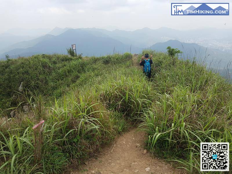 跟住開始落山，不久又遇上一個分叉路口。