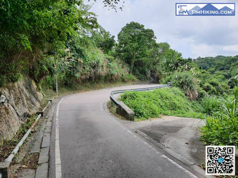 繼續沿馬路行