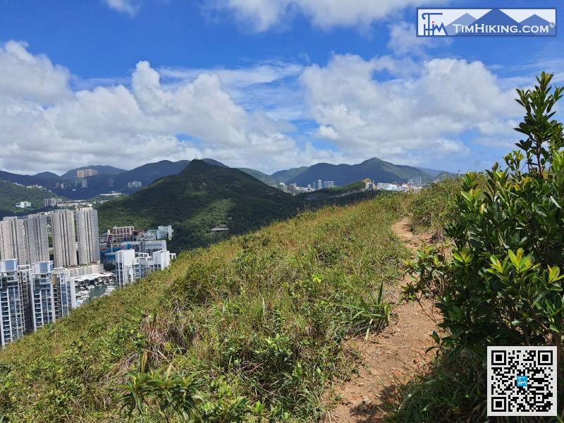 登頂後，留意左邊的山徑，不綑邊的行山人士就由此落山，山徑是平緩很多的，不建議由中間落，實在太斜了。