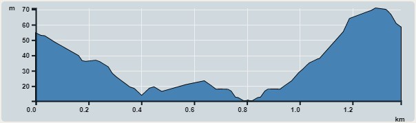 攀升︰61米　　下降︰61米　　最高︰71米　　最低︰10米<br><p class='smallfont'>海拔高度值只供參考 誤差約是30米內