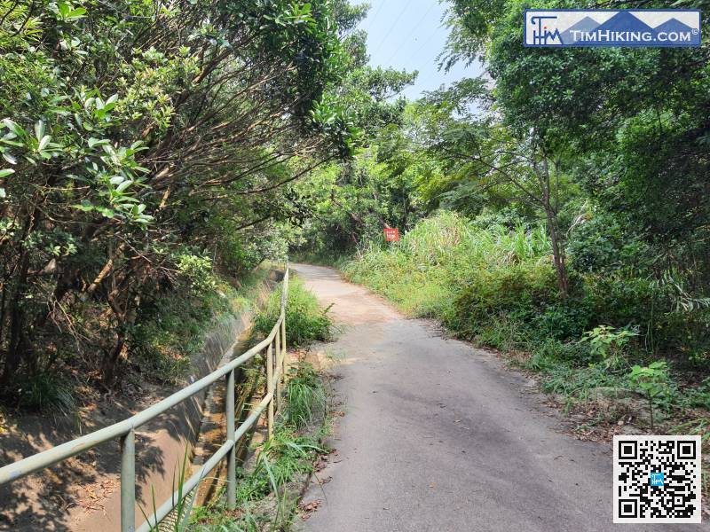 港島林道（美景路段）是一條引水道山徑