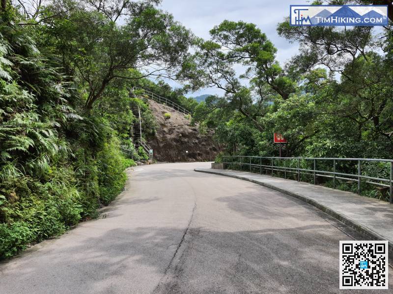 進入大潭郊野公園範圍後，全都是非常寬闊的石屎馬路。