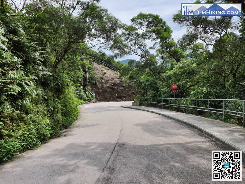 進入大潭郊野公園範圍後，全都是非常寬闊的石屎馬路。