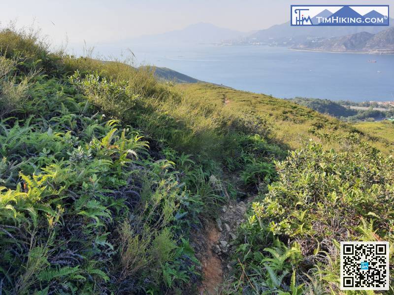 繞山腰一過