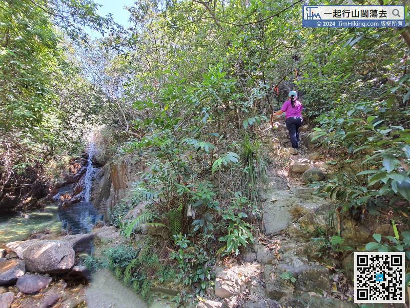 留意水潭的右邊有小徑，可經山路繞過水潭，不用經水道攀岩而上。