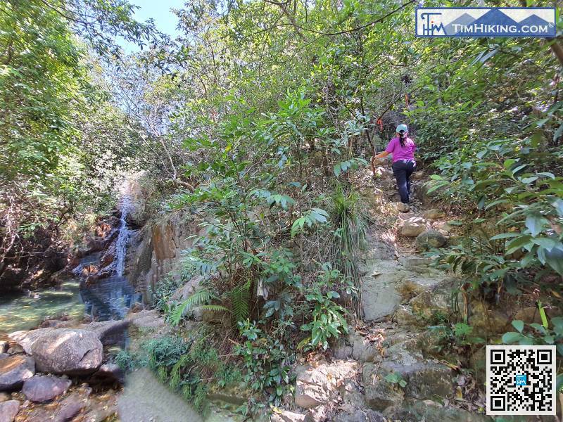 留意水潭的右邊有小徑，可經山路繞過水潭，不用經水道攀岩而上。