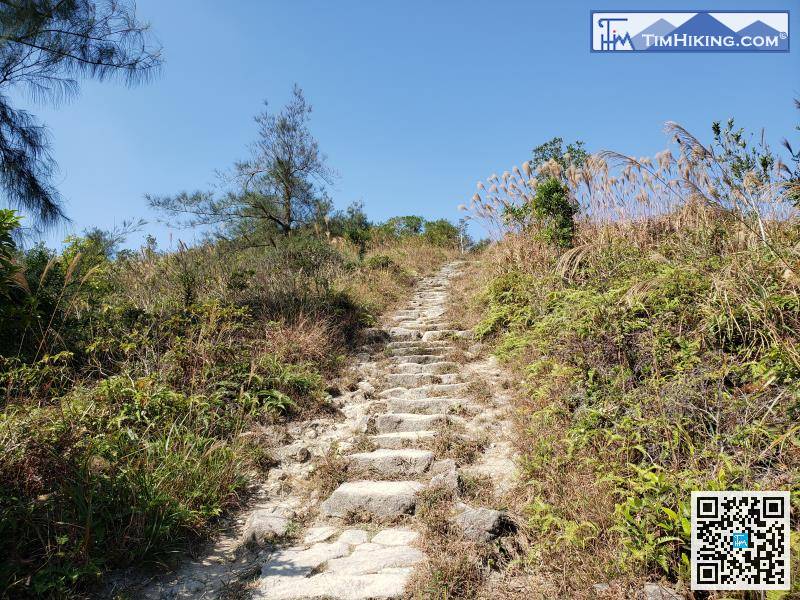 離開長屻脊之後，再沒有分叉路