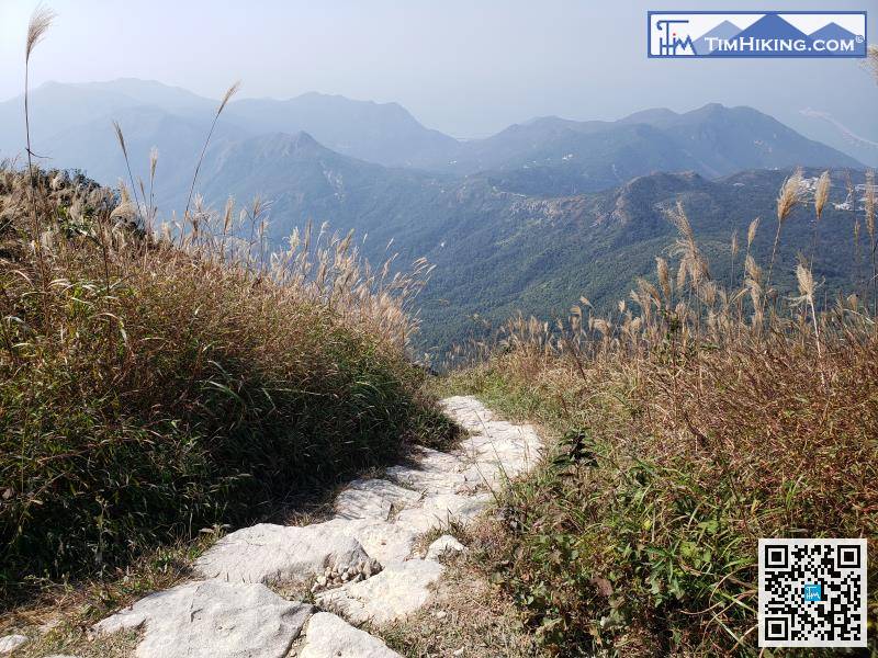 The total descending from the peak is about 450 meters, which is half of Lantau Peak.