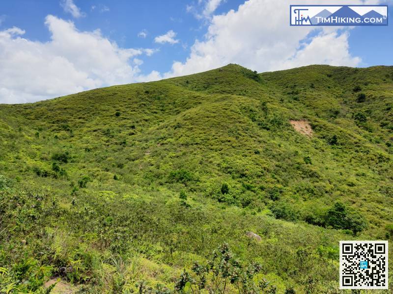 右邊的山峰就是227山頭，一個沒有名字，只有高度的山峰。