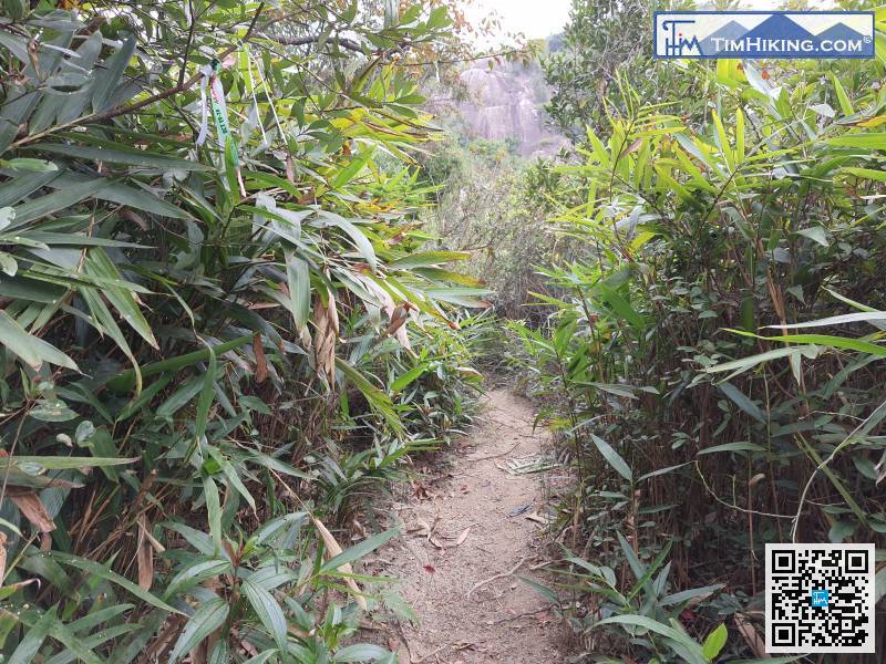 再次踏上登山的路