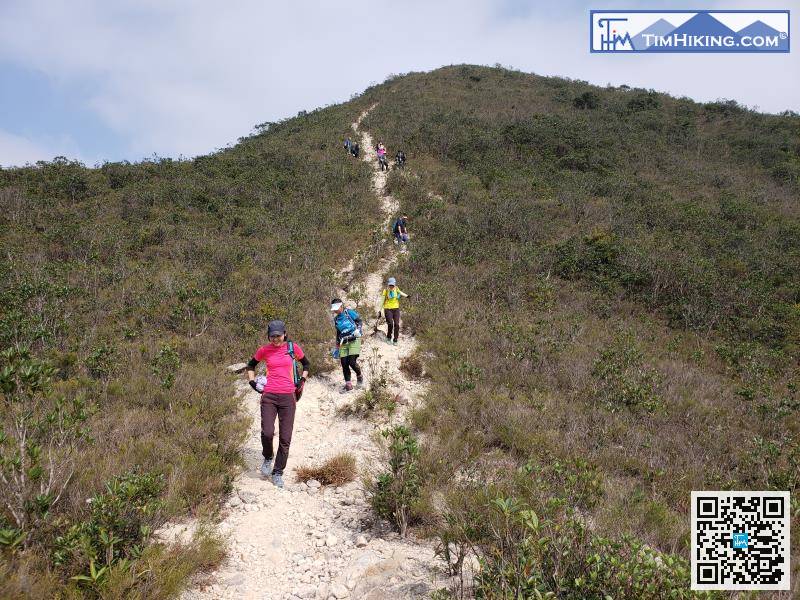 繼續是下山路段，落山的山徑雖然頗多碎沙碎石，變相顯得路胚非常清晰。