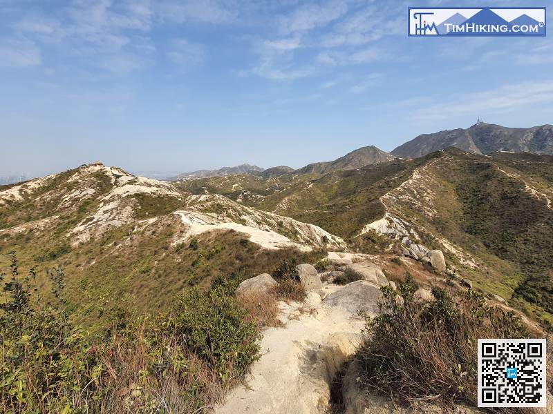 在青山腹地要非常有方向感，要好清楚將要行的山脈路線，右後方是青山，右邊條路是往青山前的石鼓山的。