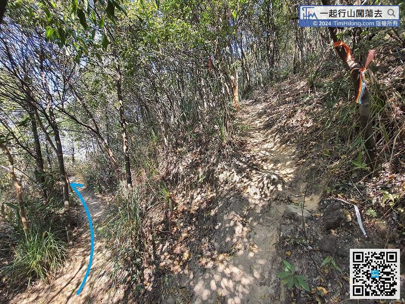 在雁谷迷徑行約350米，右邊的分叉路是石壘脊。