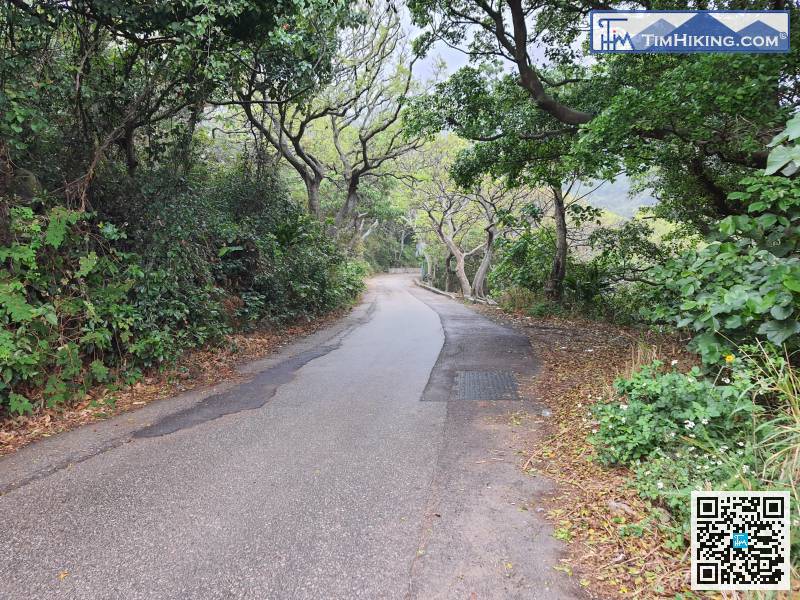 跟住返回石屎路繼續落海岸