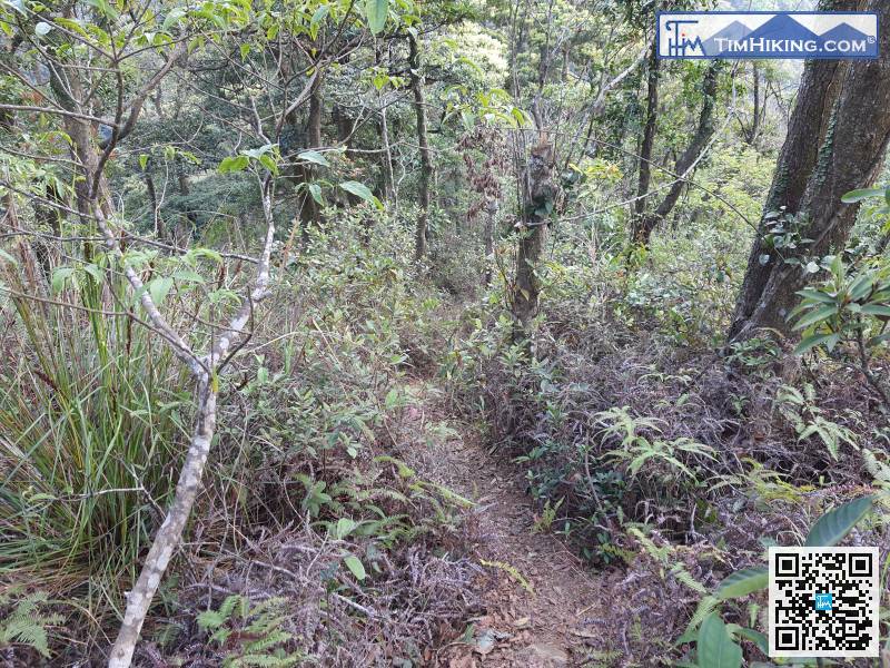 到訪完大嶺峒後，需原路折返落山。