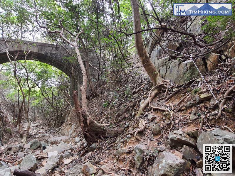 返回大石拱橋，原路返回橋面。