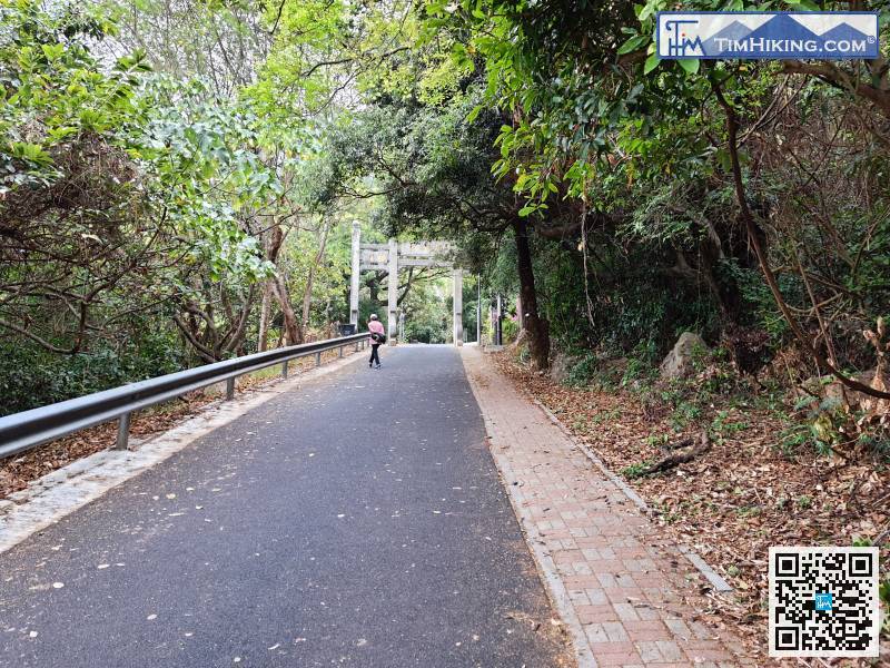 繼續沿石屎路上山