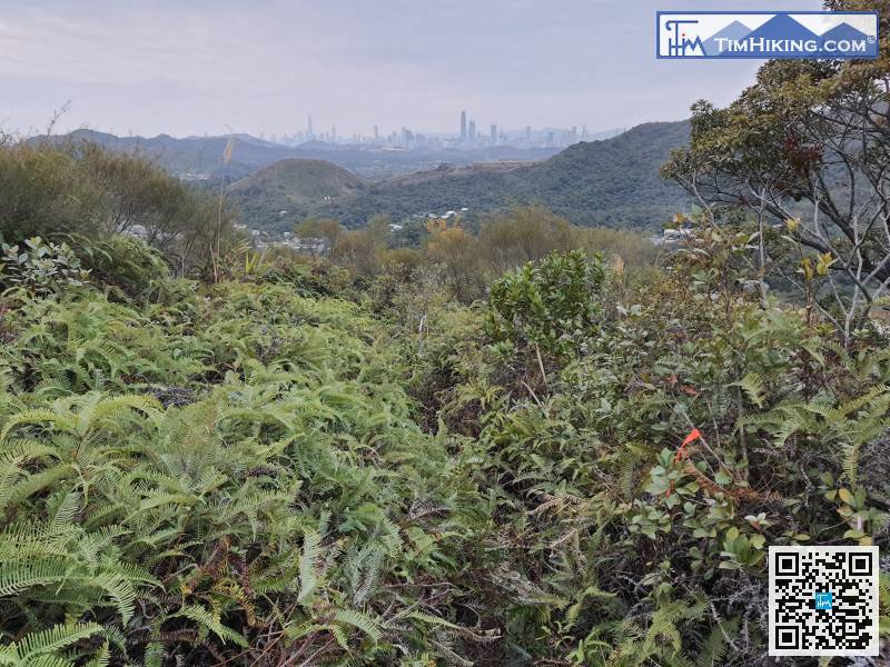 繼續沿路落山