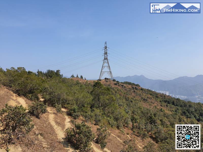 條條大路通羅馬，只要望住電塔行過去。