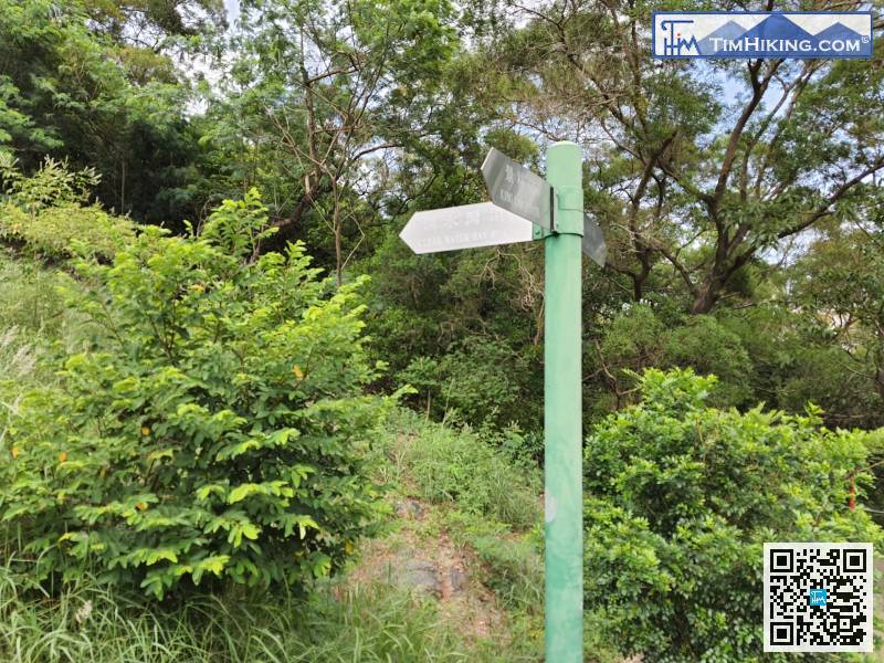 往清水灣道的方向開始登山