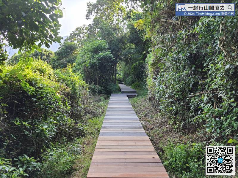 這段其實還是印洲塘郊遊徑，也是荔谷古道，亦是荔枝窩自然步道。