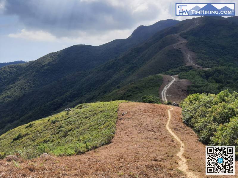 前方有電綫杆的山坳位置，就是二白坳。