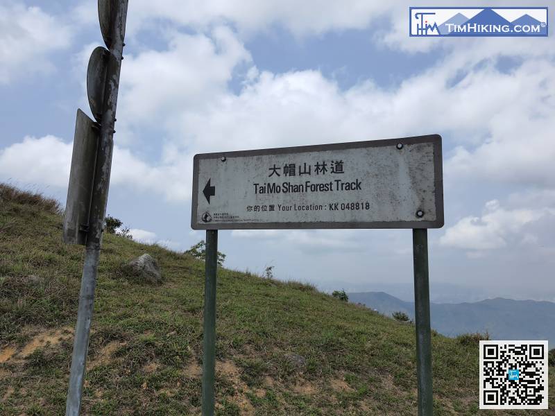 踏上大帽山林道之後,最難的部份都已經過了。