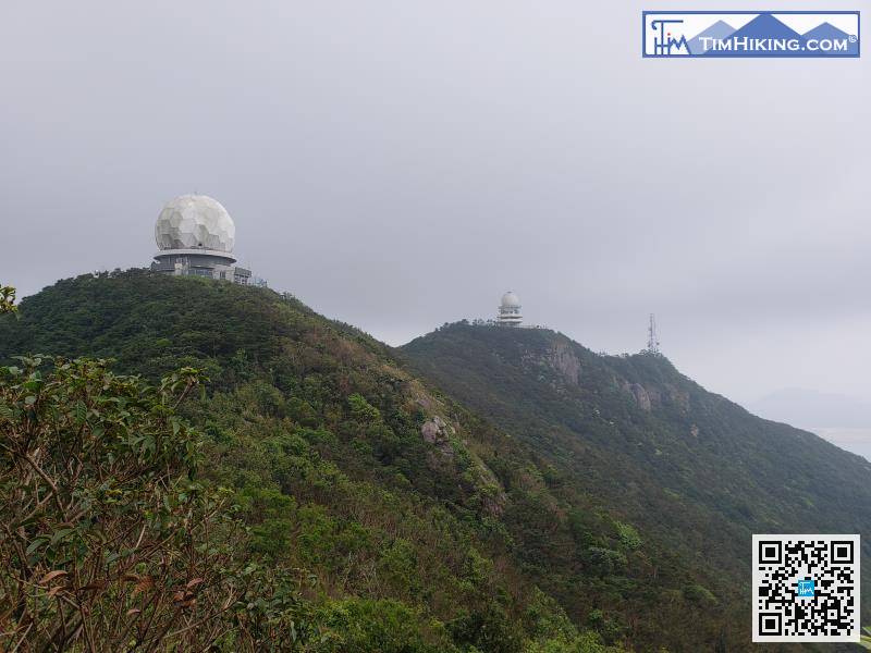 不用半小時已到達柏架山的主峰