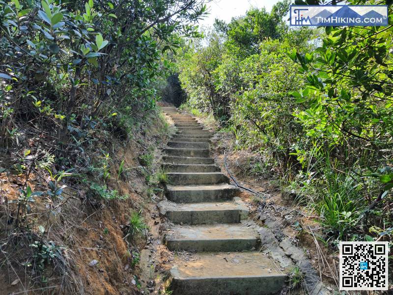 There are many steps in the front section,