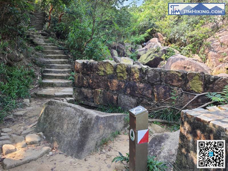 On the left-hand side of Siu Ma Stream, can find a step,