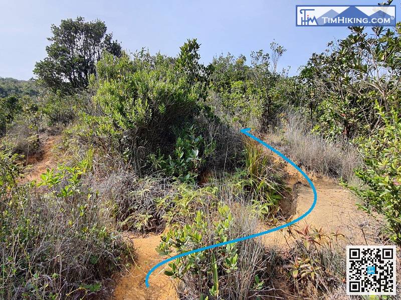 Walk to a small flat, which is an intersection, choose the second one and continue up the mountain.