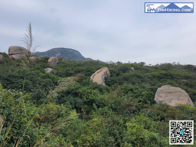 大約行了15分鐘，開始會見到山上的石景。