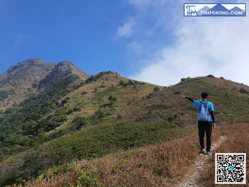 鳳凰山是非常明確的路標，