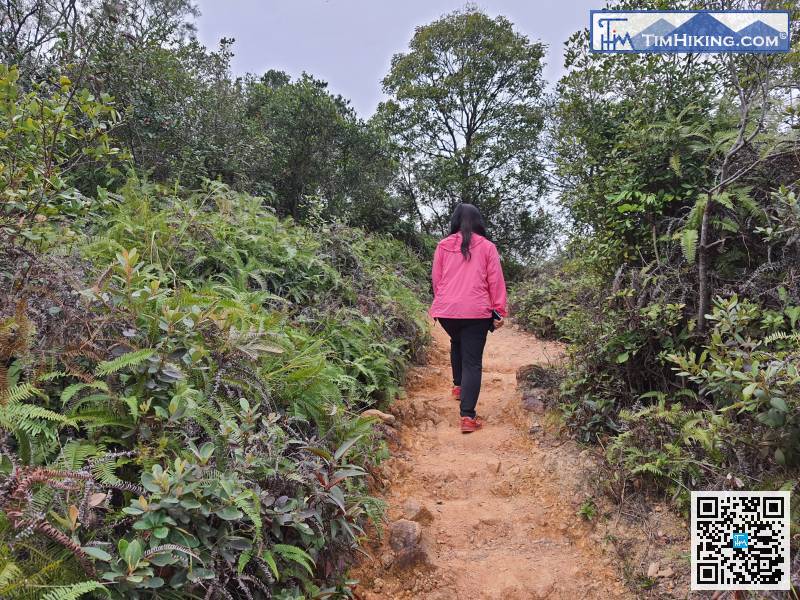 探索完二戰遺跡後，繼續直行，