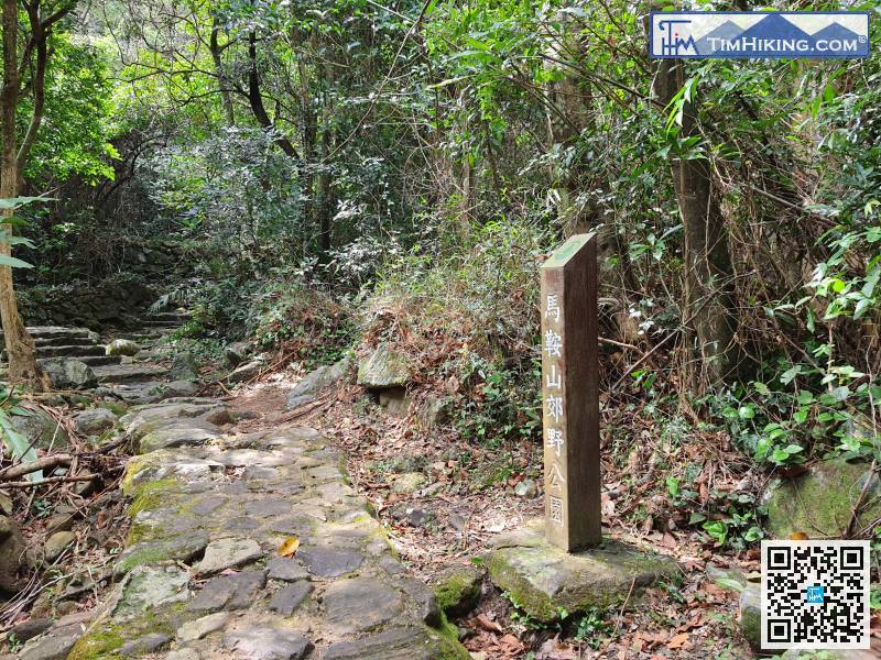 轉眼間，就進入了馬鞍山郊野公園的範圍，