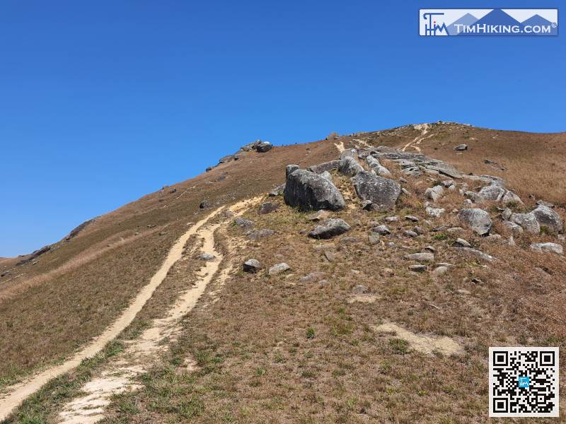 由山腳登上桂角石嶺，大約需要1小時，