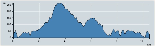 攀升︰482米　　下降︰456米　　最高︰262米　　最低︰0米<br><p class='smallfont'>海拔高度值只供參考 誤差約是30米內