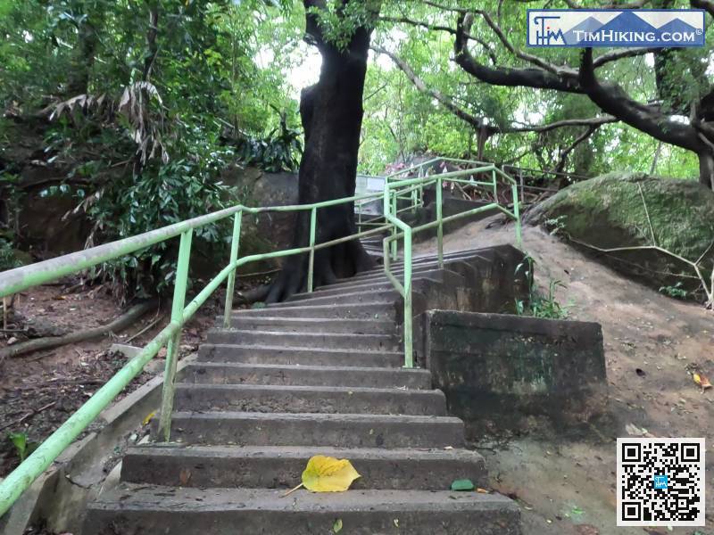 沿梯級開始登上主教山，